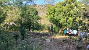Prime 60 × 42 Plots for Sale in Aldina