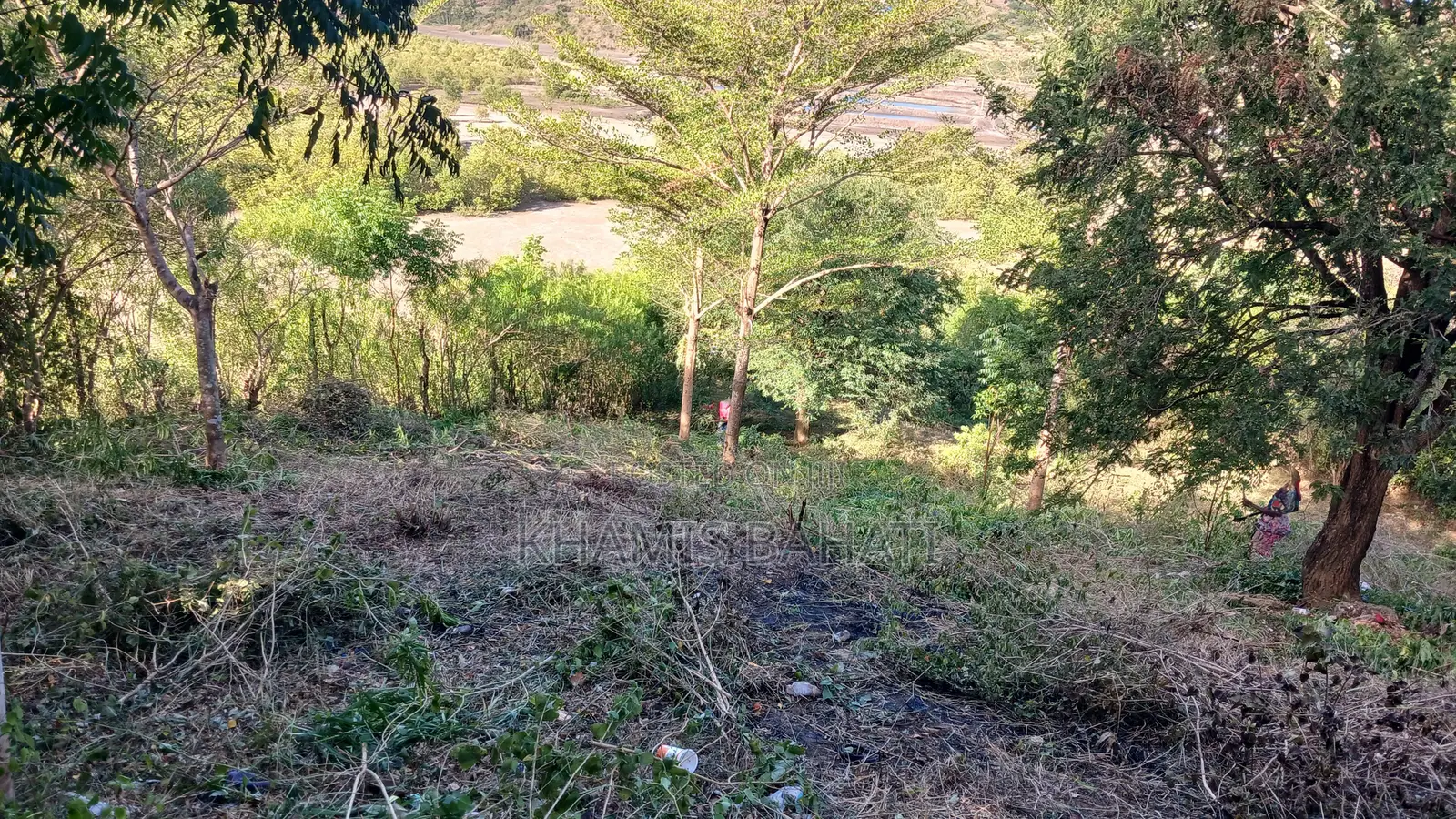 Prime 60 × 42 Plots for Sale in Aldina