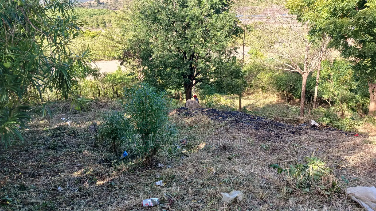 Prime 60 × 42 Plots for Sale in Aldina