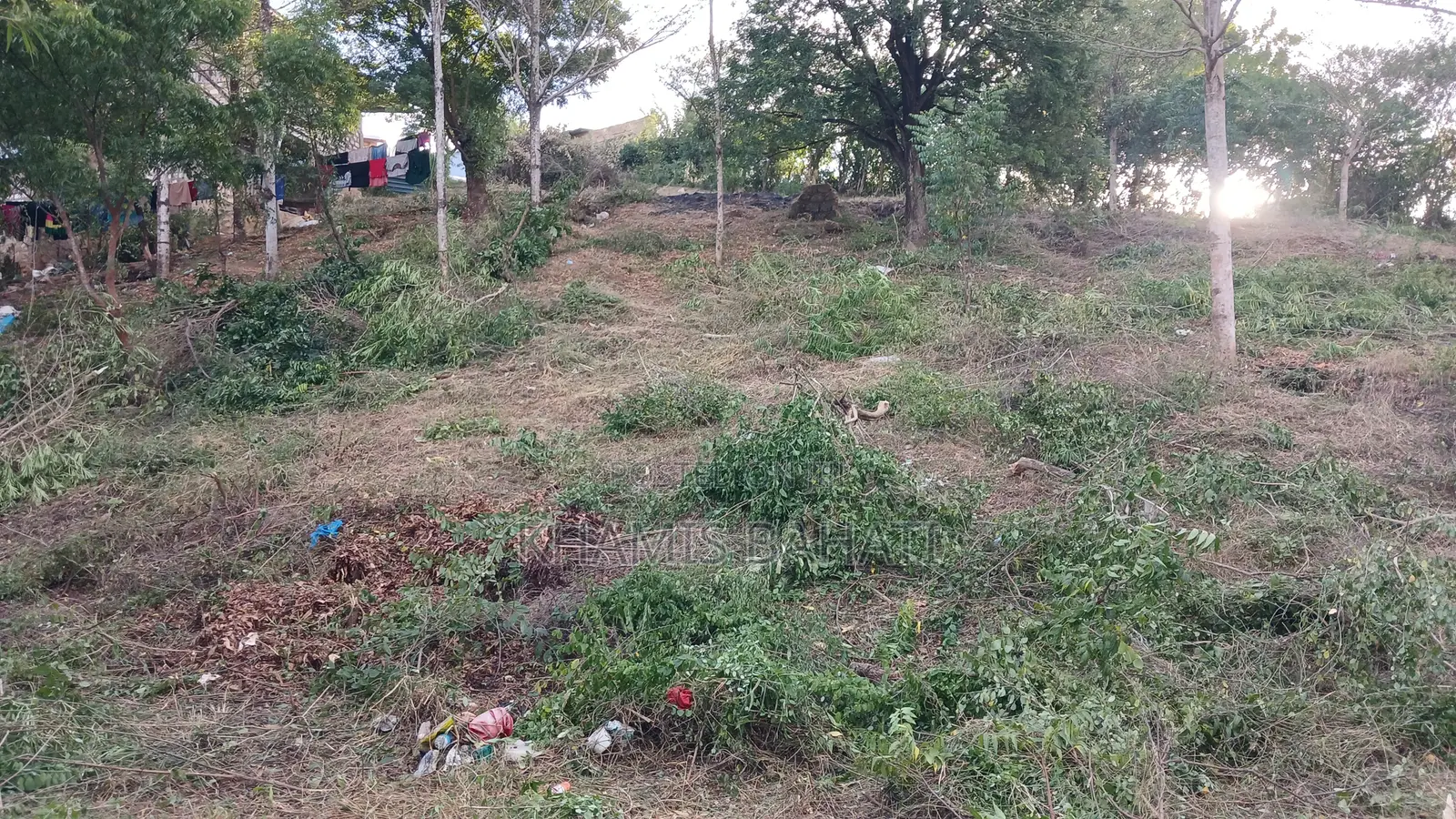 Prime 60 × 42 Plots for Sale in Aldina