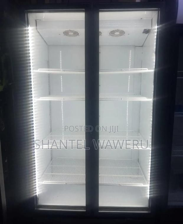 2 Door Chiller/ Double Fridge