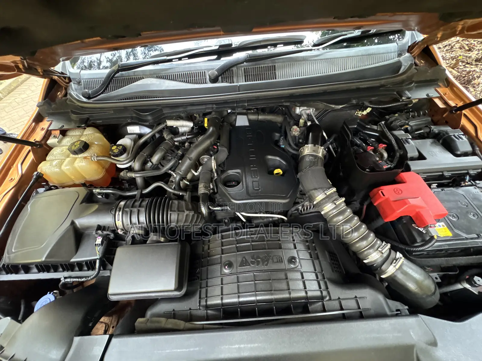Ford Ranger Wildtrak 2019 Orange