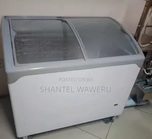 250litres Clean Ice-Cream Freezer