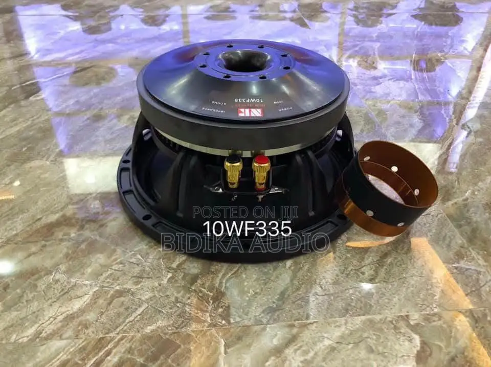 Brand New NR 10" Naked Speaker 10WF335 (With Extra Voice Coil)
