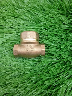 Non Return Valve 1/2