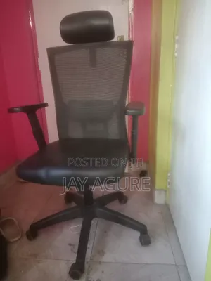 Orthopaedic Office Chair