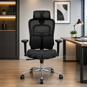 Executive Mesh Chair With Lumber Support.
