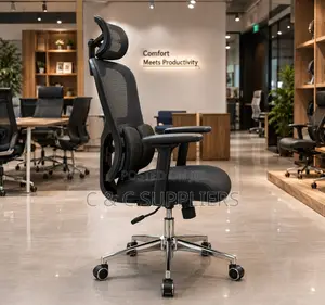 Executive Mesh Chair With Lumber Support.