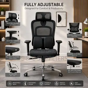 Executive Mesh Chair With Lumber Support.