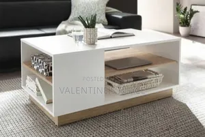 Stylish Modern Living Room Coffee Table With Storage Shelves