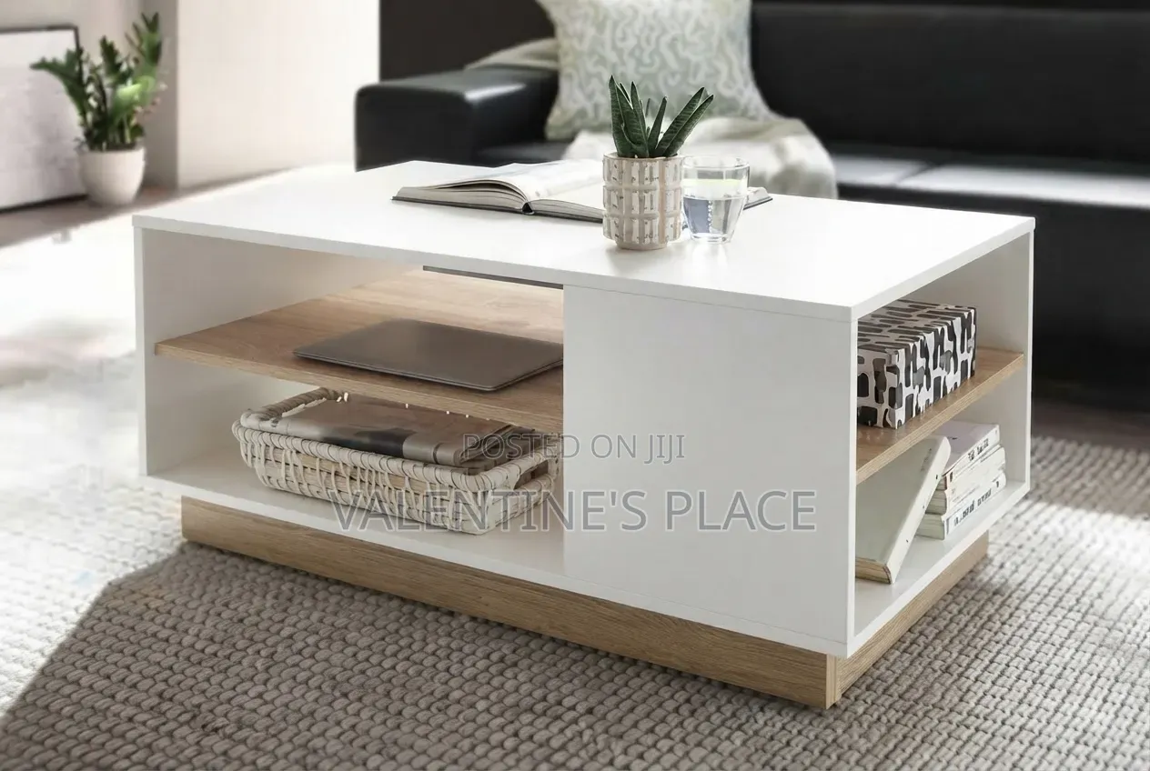 Stylish Modern Living Room Coffee Table With Storage Shelves