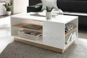 Stylish Modern Living Room Coffee Table With Storage Shelves