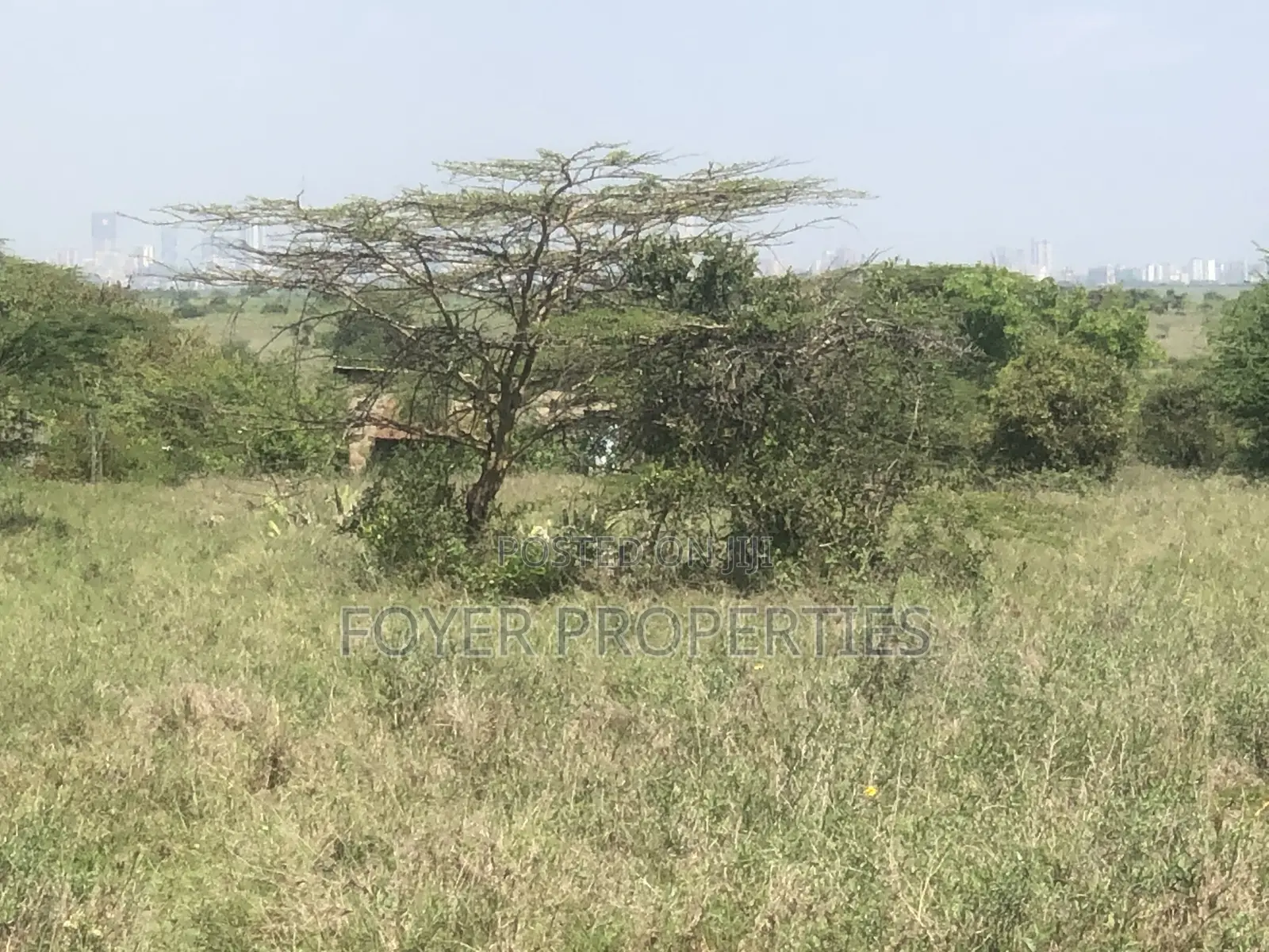 Plot Near Nairobi National Park