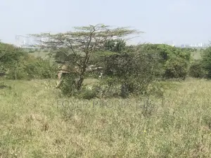 Plot Near Nairobi National Park