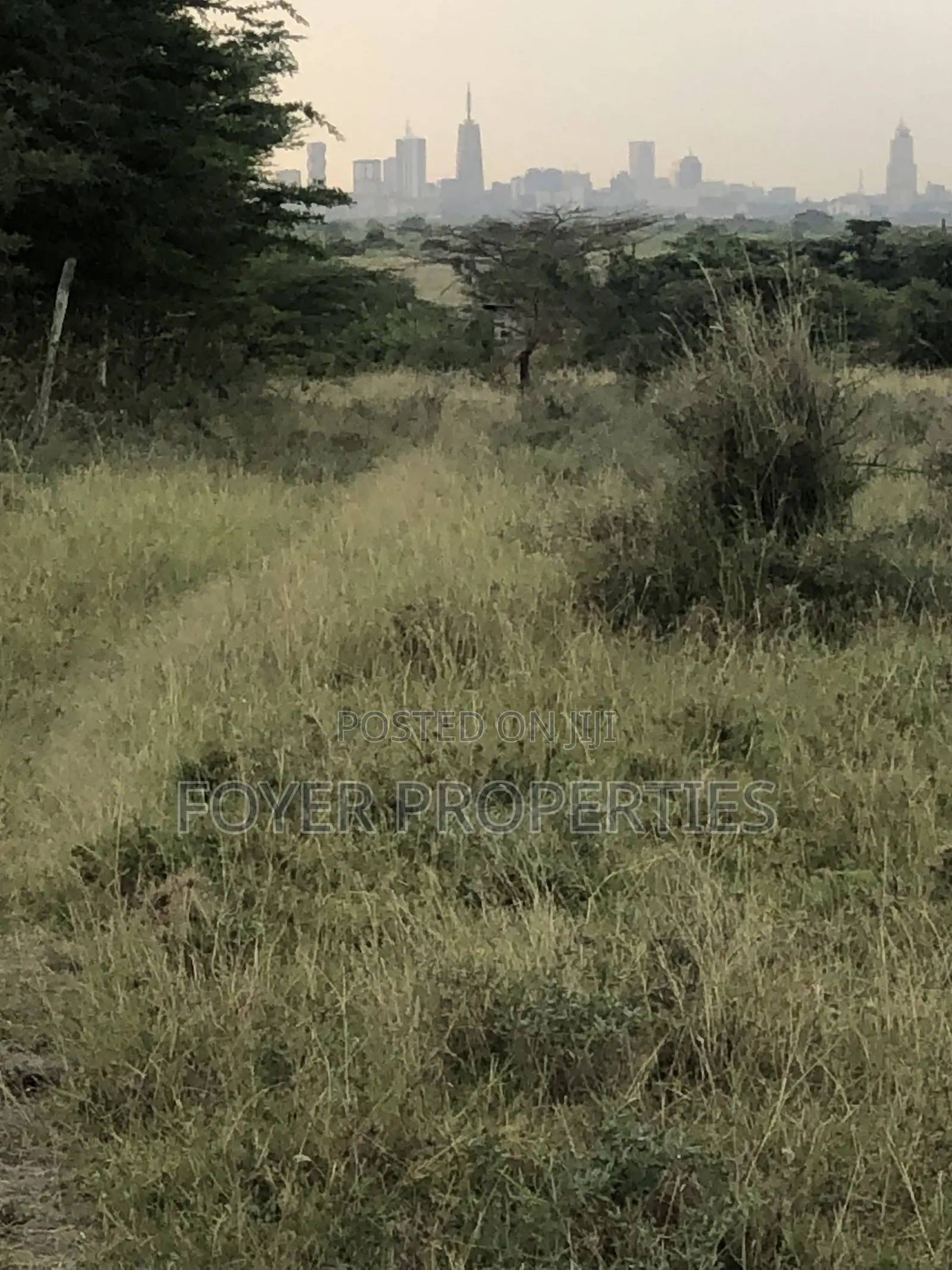 Plot Near Nairobi National Park