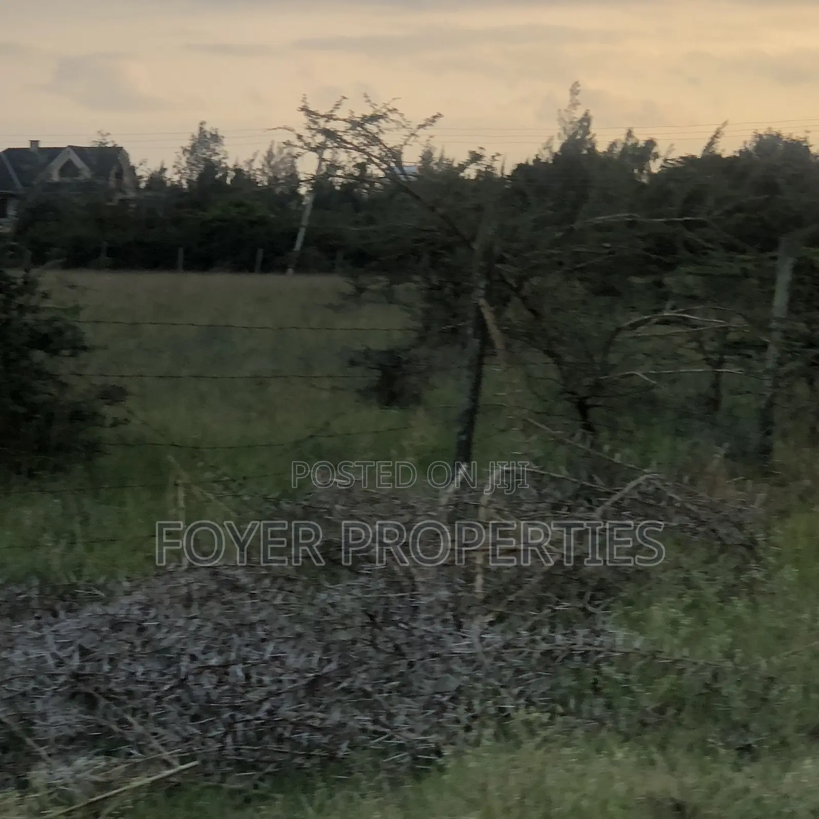 Plot Near Nairobi National Park