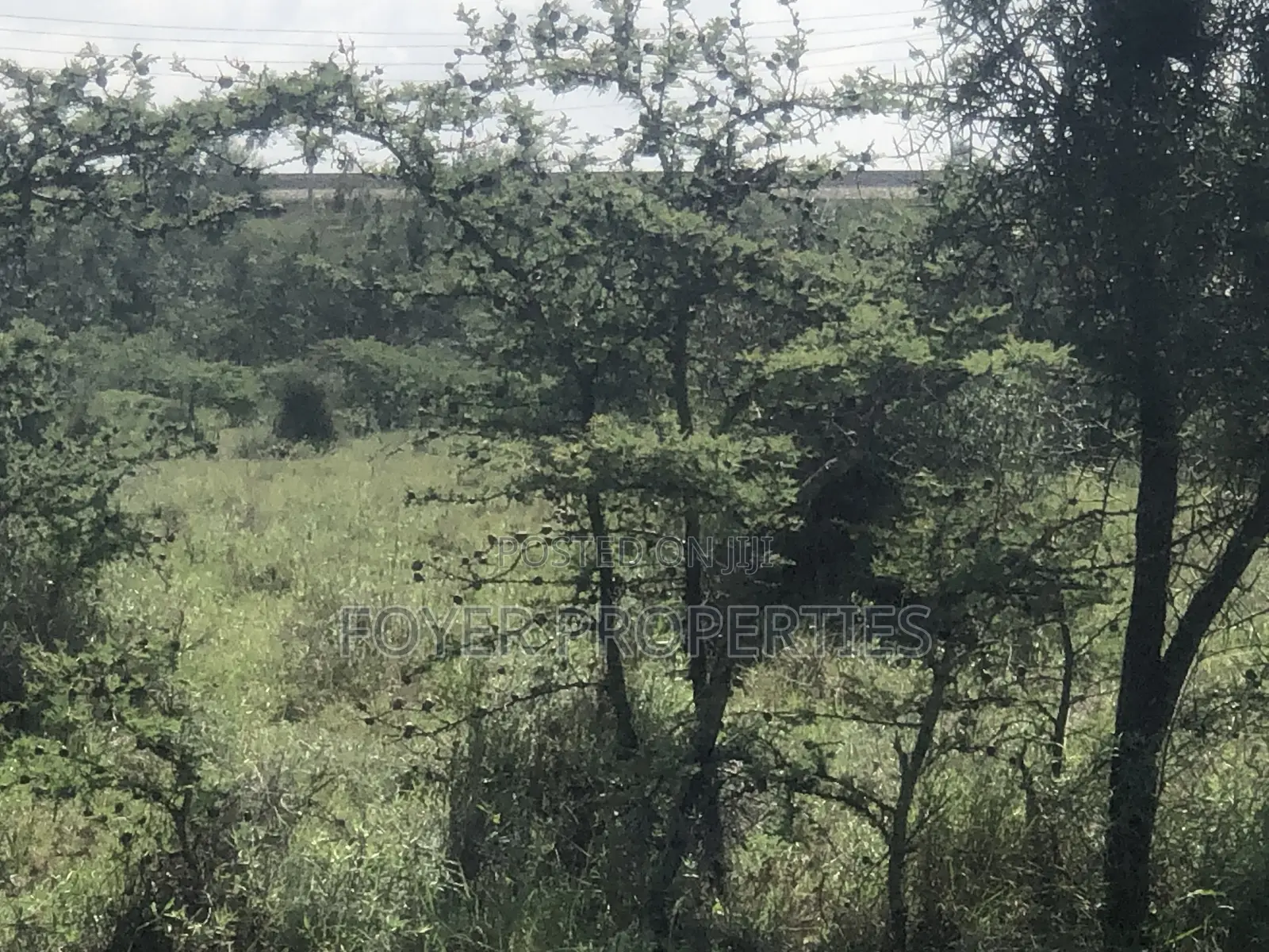 Plot Near Nairobi National Park