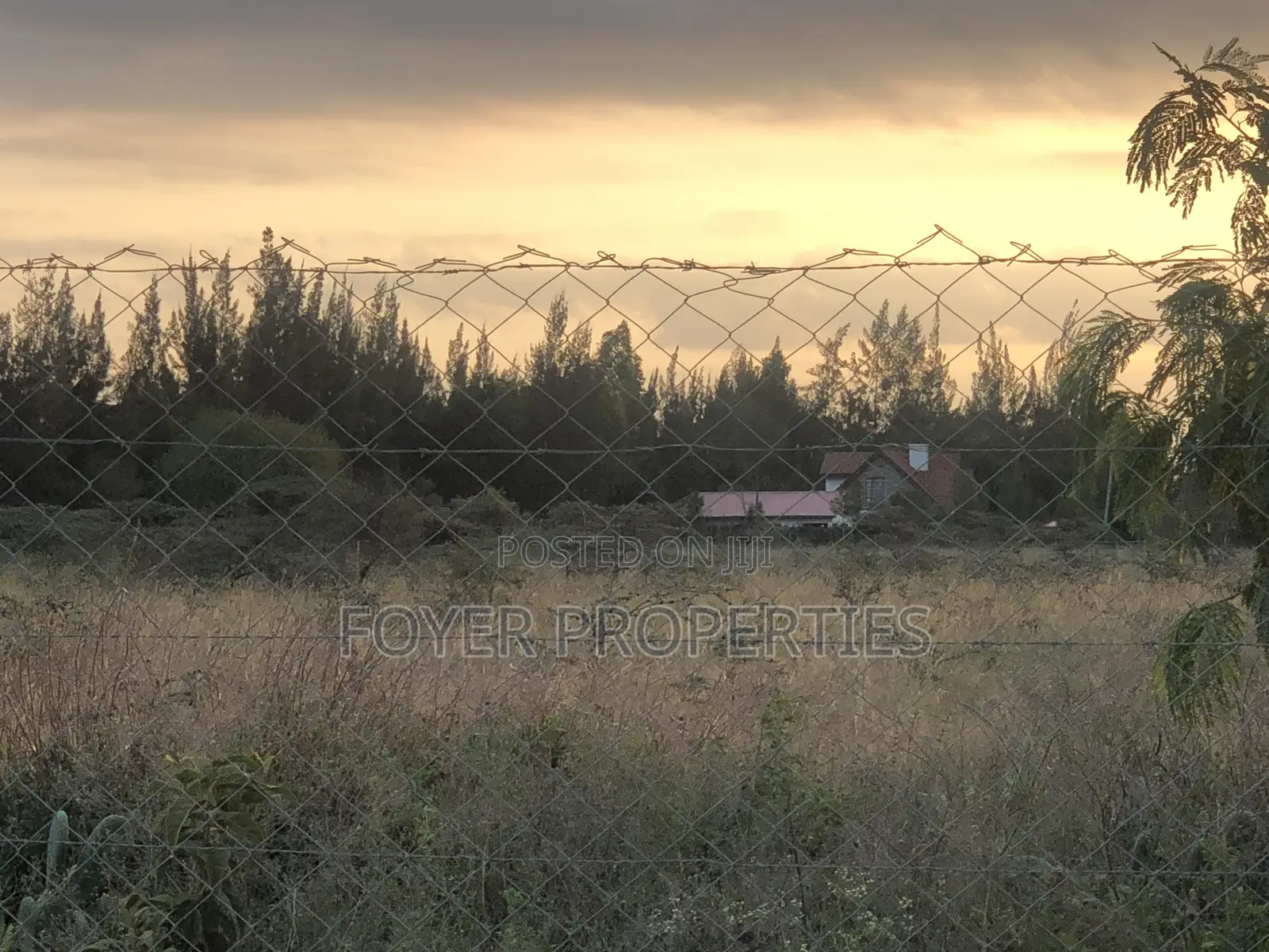 Plot Near Nairobi National Park