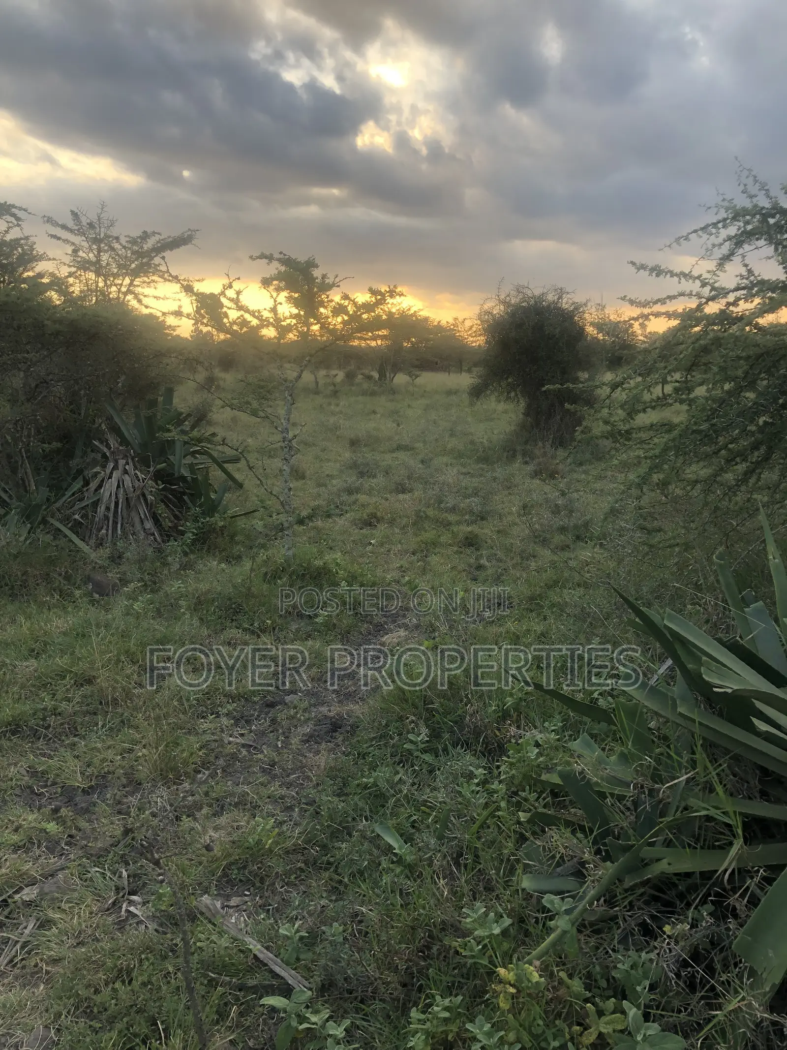 Plot Near Nairobi National Park