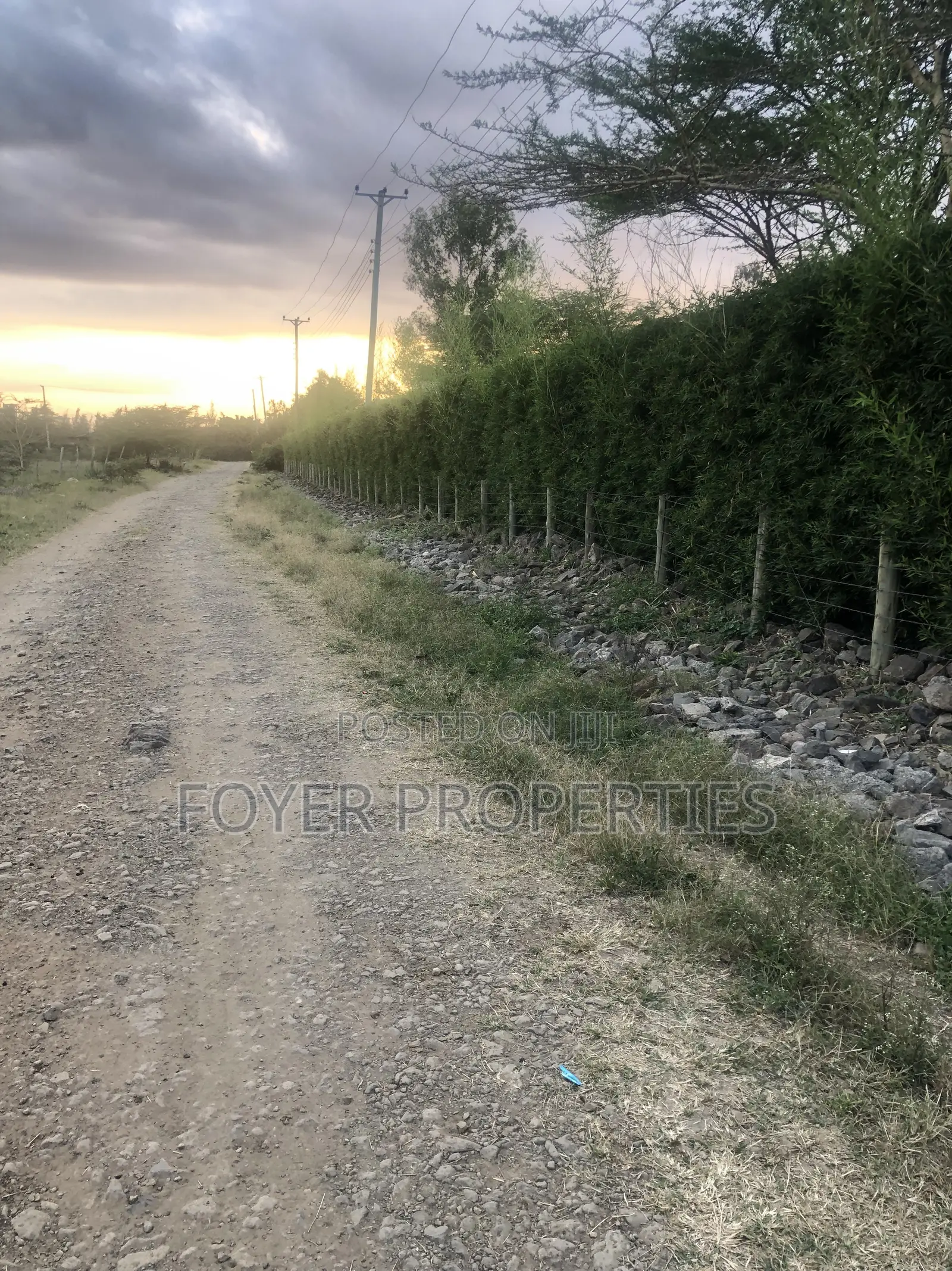 Plot Near Nairobi National Park
