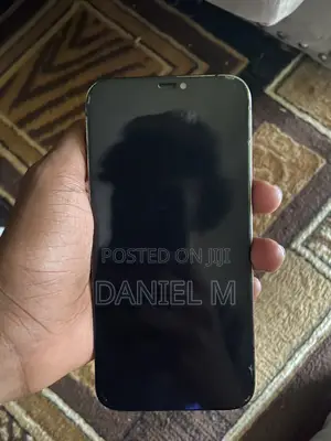 Apple iPhone 12 Pro Max 128 GB Black