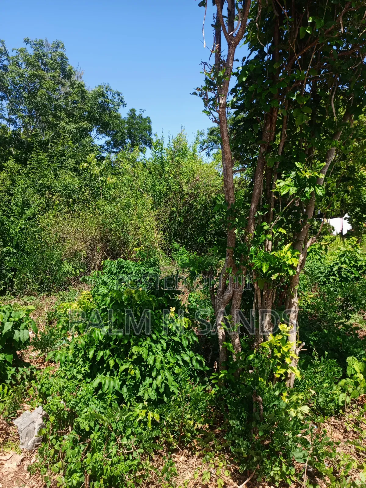 One Acre in Galu Diani on Sale