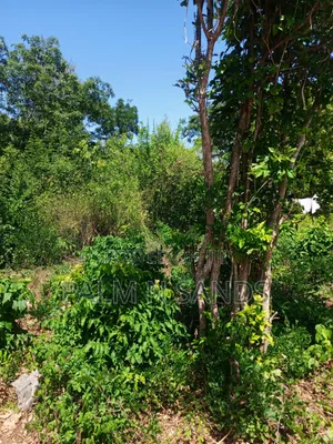 One Acre in Galu Diani on Sale
