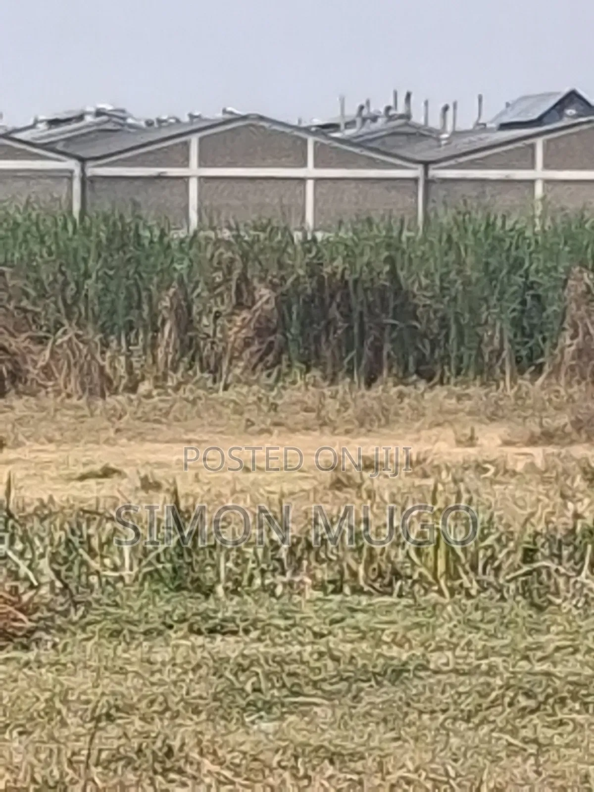 Ruiru Thika Road Industrial 5 Acres Behind Dr. Mattress
