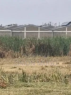 Ruiru Thika Road Industrial 5 Acres Behind Dr. Mattress