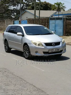 Toyota Corolla Fielder 2007 Silver