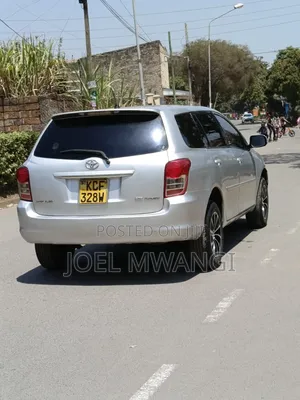 Toyota Corolla Fielder 2007 Silver