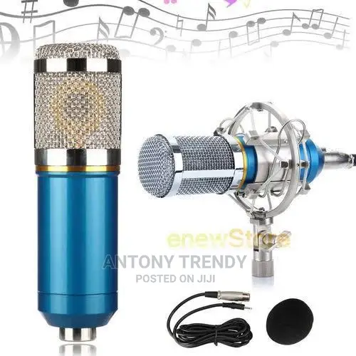 Unidirectional Microphone