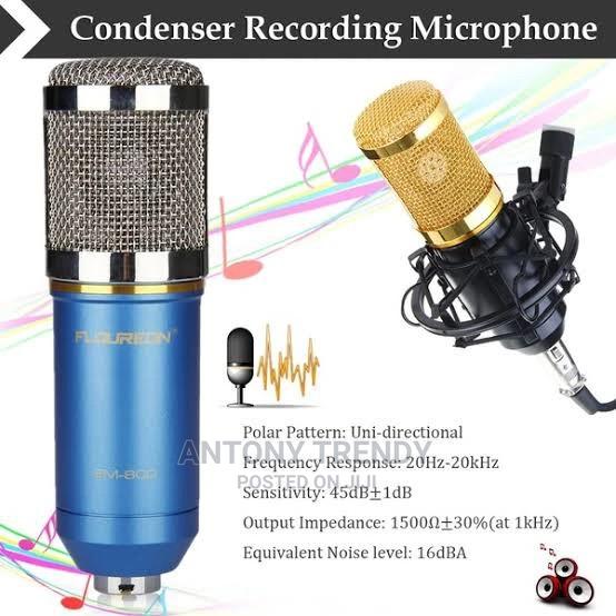 Unidirectional Microphone - main view