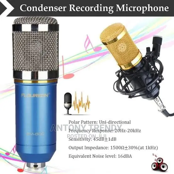 Unidirectional Microphone