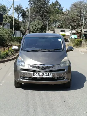Toyota Ractis 2008 Gray