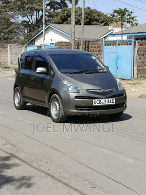 Toyota Ractis 2008 Gray