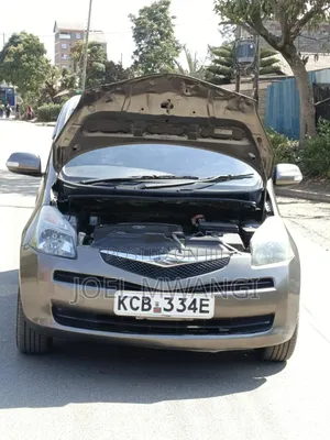 Toyota Ractis 2008 Gray