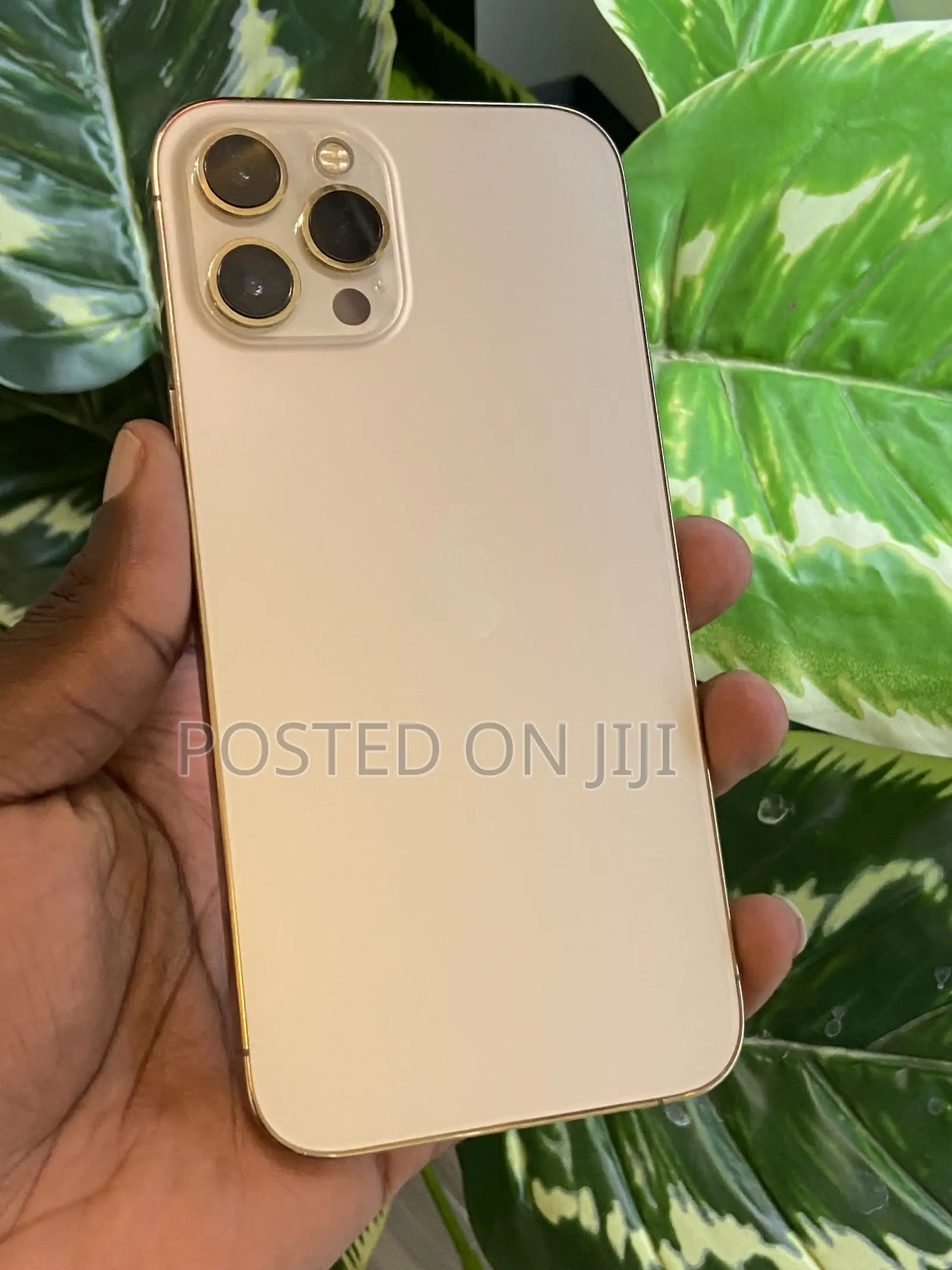 Apple iPhone 12 Pro Max 128 GB Gold