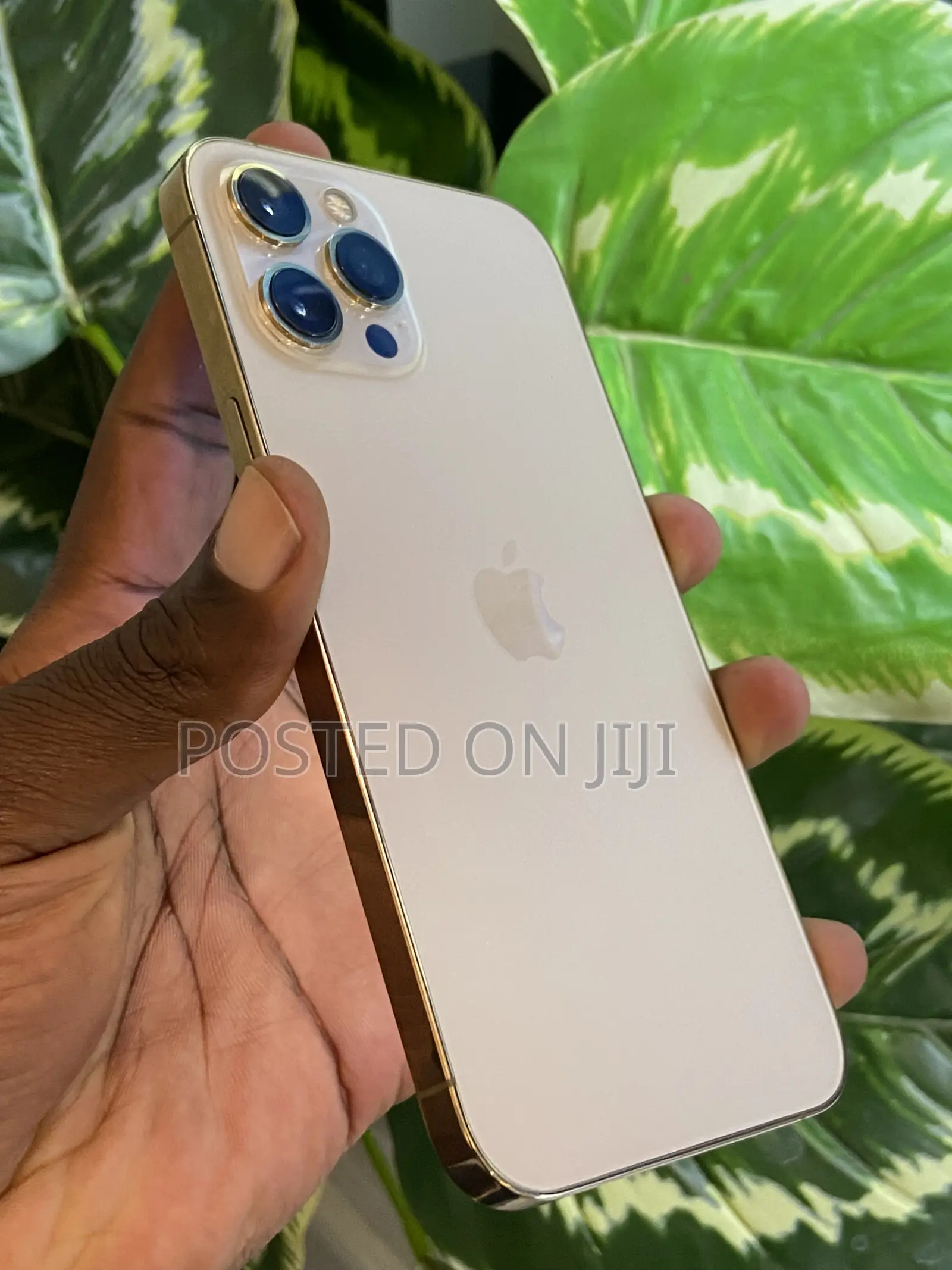 Apple iPhone 12 Pro Max 128 GB Gold
