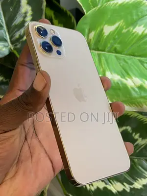 Apple iPhone 12 Pro Max 128 GB Gold