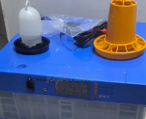 Proffesional 64 Eggs Incubator for Home Use