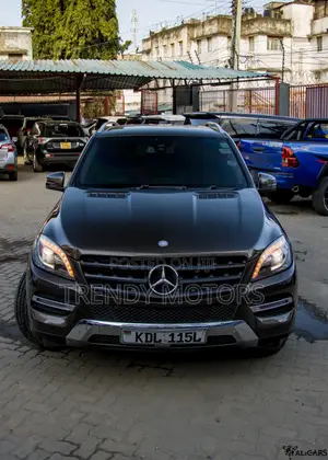 Mercedes-Benz M Class 2013 Brown