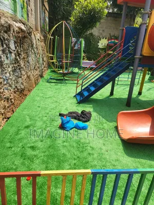 Professional Landscaping With Grass Carpet