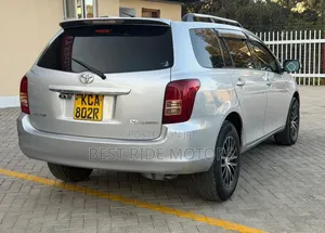 Toyota Corolla Fielder 2008 Silver