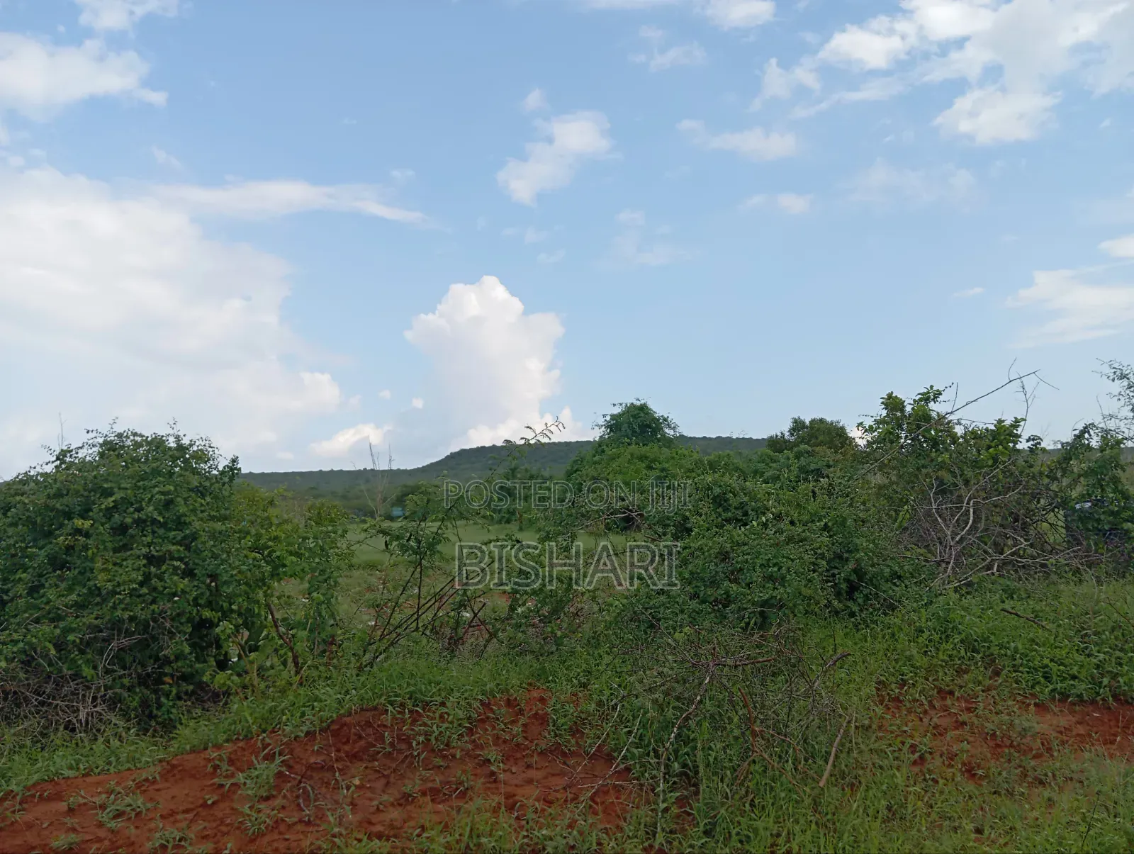 26 Acre Land