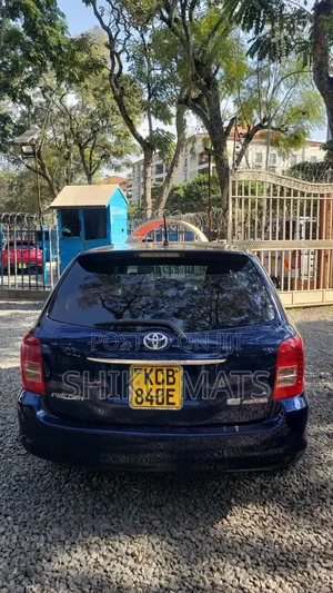 Toyota Corolla Fielder 2007 Blue