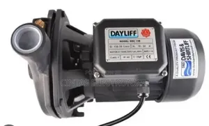 Dayliff 1HP Electric Booster Water Pump