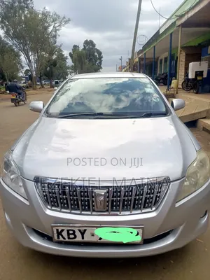 Toyota Premio 2009 Silver