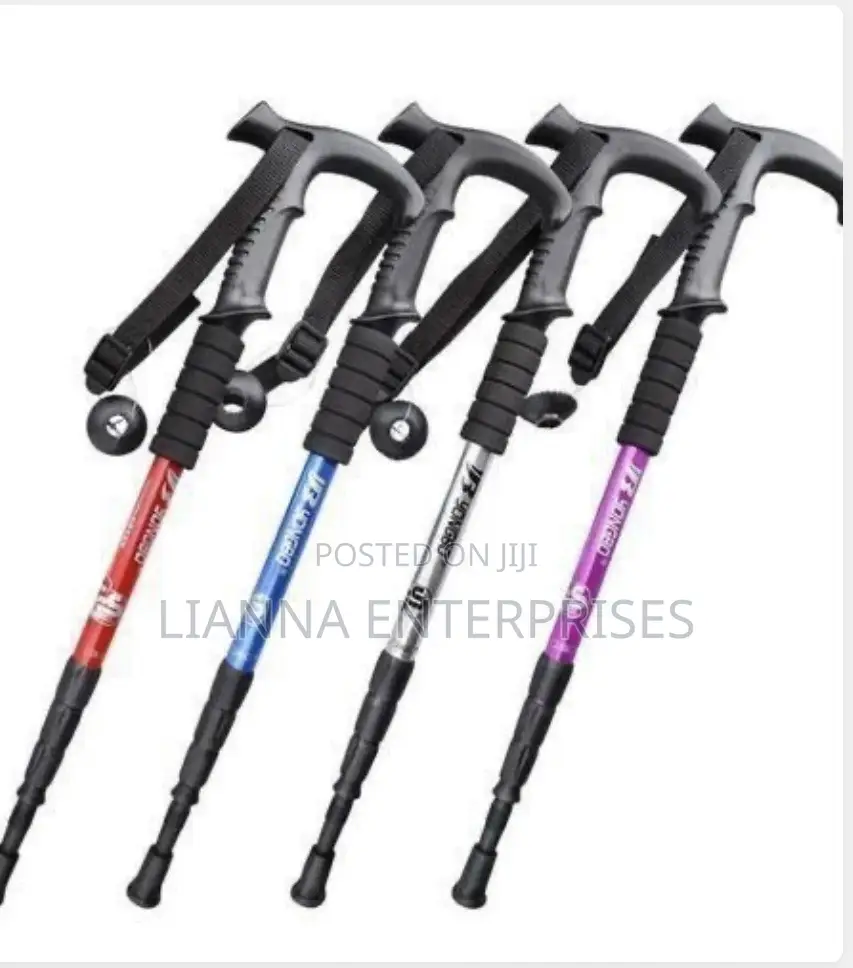 Portable Hiking Stick