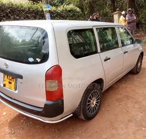 Toyota Probox 2010 Silver